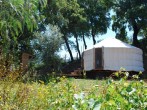 Woodland Yurt Woodland Yurt